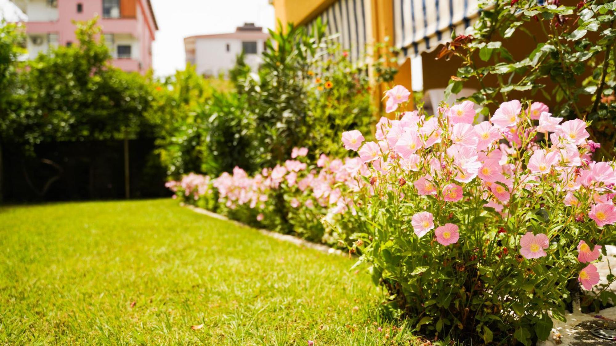 Vila Aliaj Luxury Apartment With 2 Rooms With Private Wonderful Terrace Dıraç Dış mekan fotoğraf